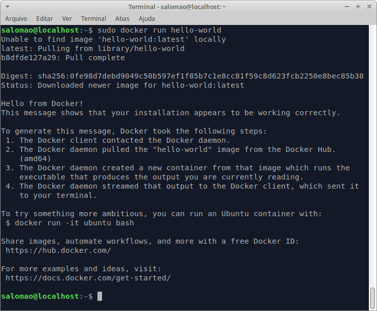 Imagem Hello-World do Docker Engine
